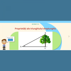 Proiect didactic